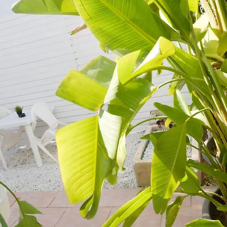 Arcosalento Apartment Galatina